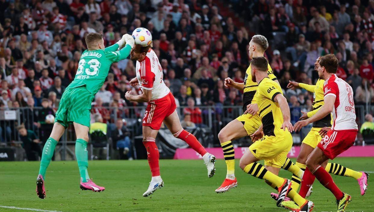 开云下载-包含拜仁决定大胆赌博，欲掀起欧冠冠军浪潮的词条