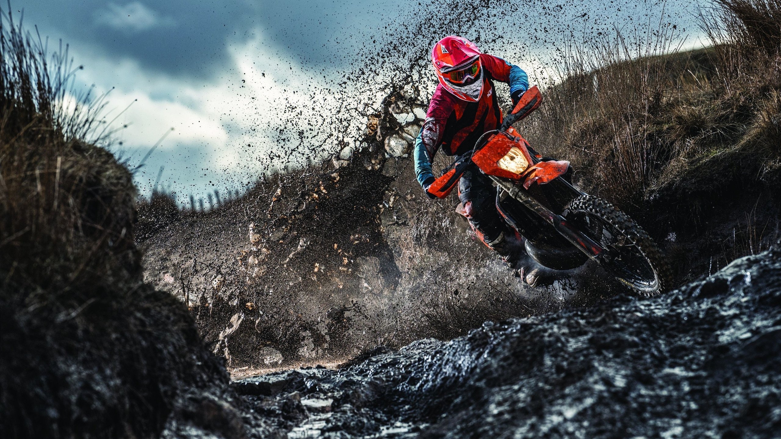 班凯罗,灰熊的唯一解