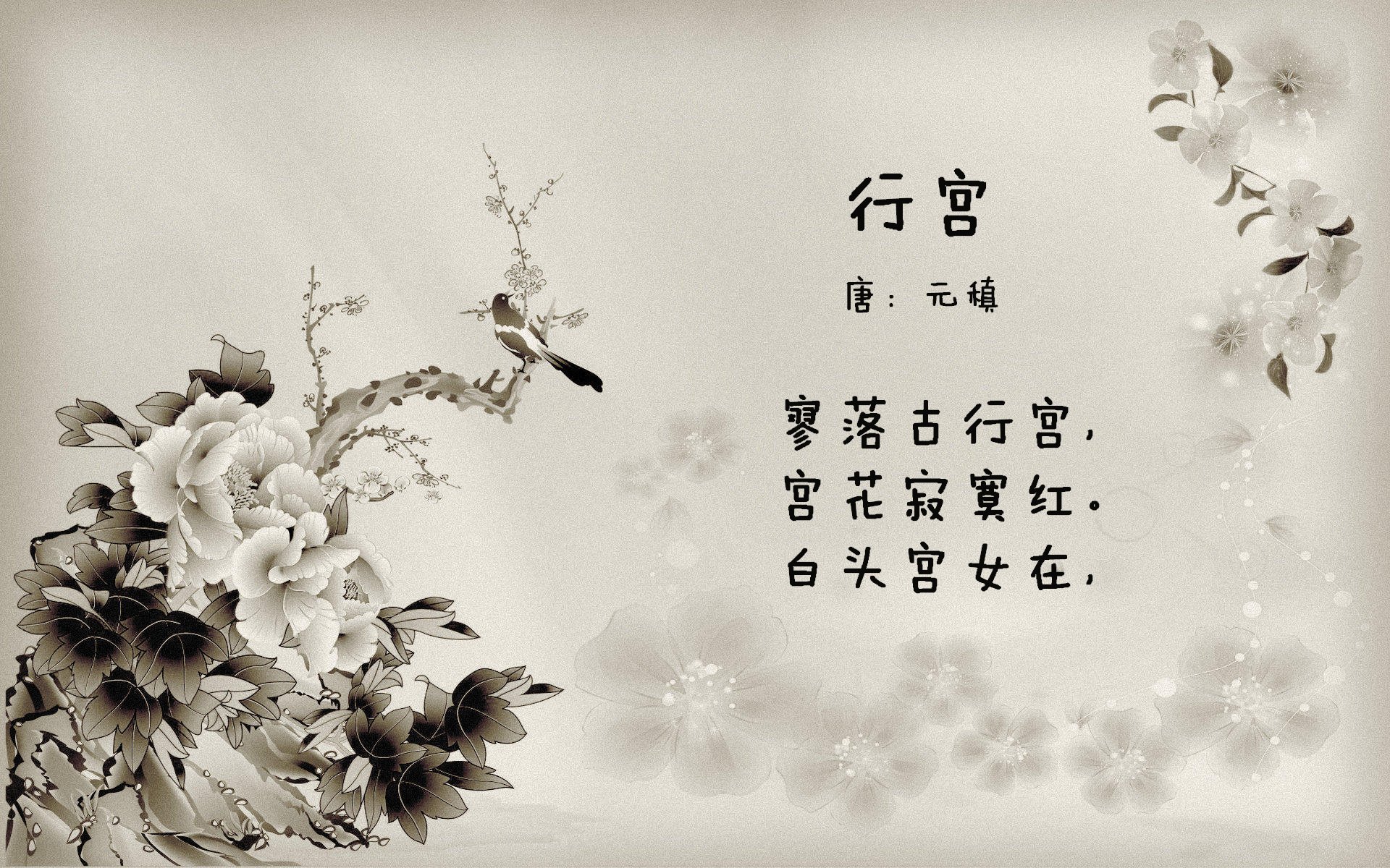 利刃撕开新大陆,美加墨世界杯之夜的凯塞多传奇