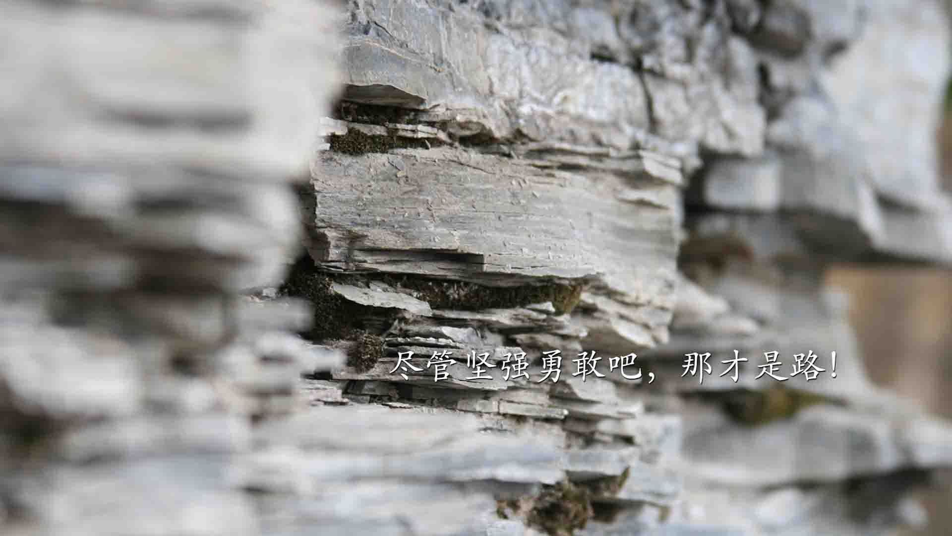 开云体育中国-魔幻回归，当切特的德比绝唱照见魔术的一波流