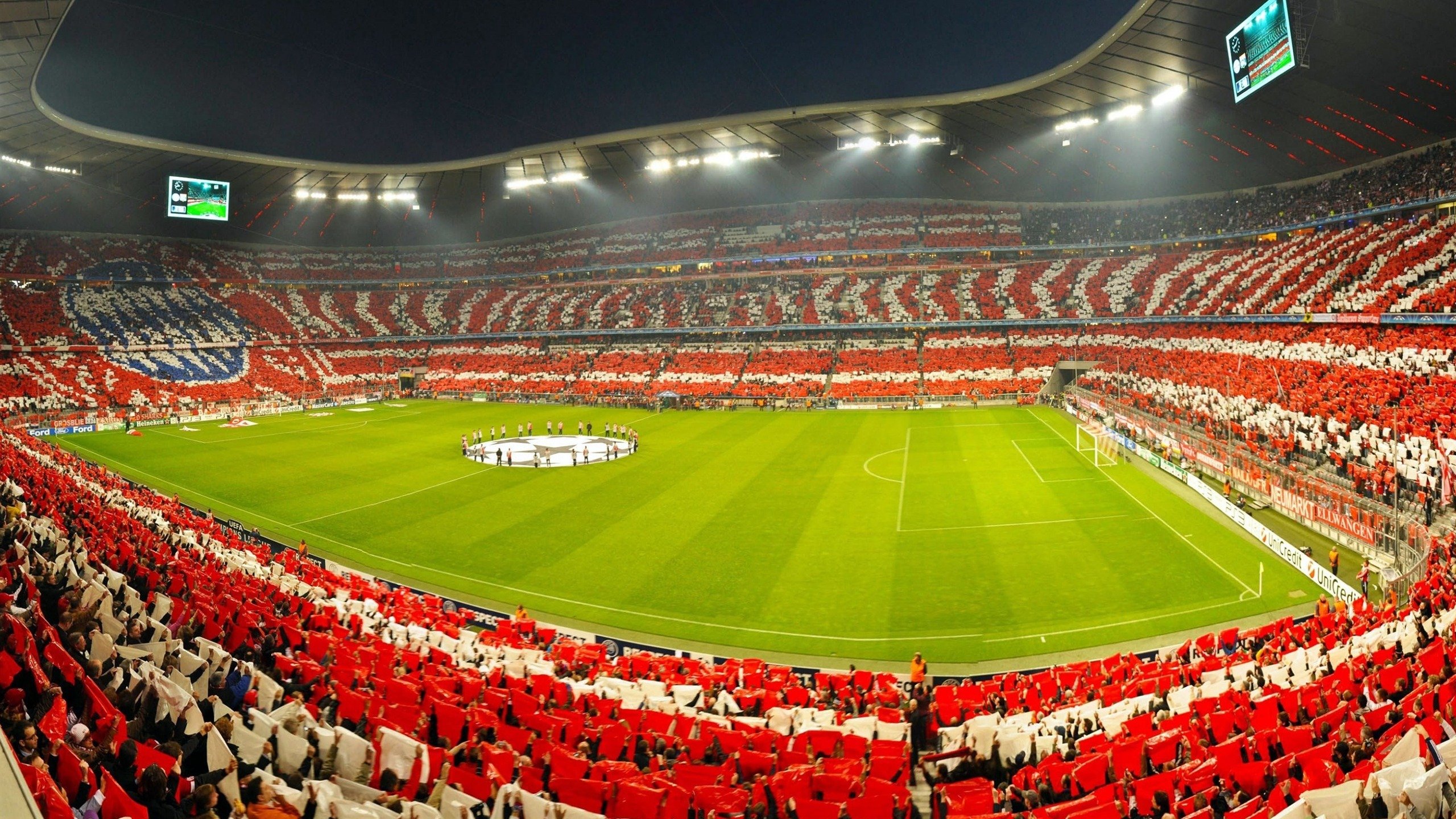 开云官网-2026世界杯唯一焦点战，国王的制霸艺术与灰熊的坚韧寓言