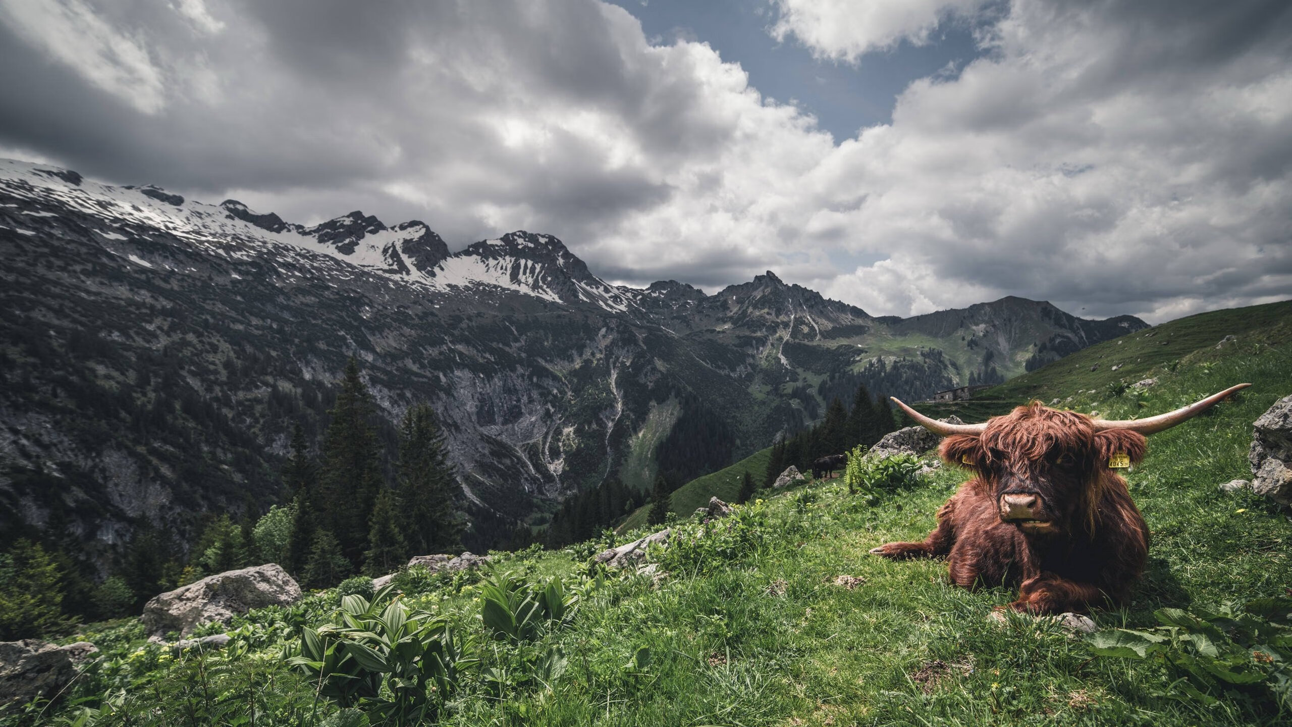 阿克解锁欧冠级中卫密码,节奏完全掌控,塞维利亚完成技术扶贫式狂胜
