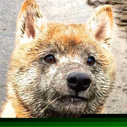 开云体育登录-从埃因霍温到巅峰，加克波在毕尔巴鄂对阵阿森纳的友谊赛中打出生涯最佳