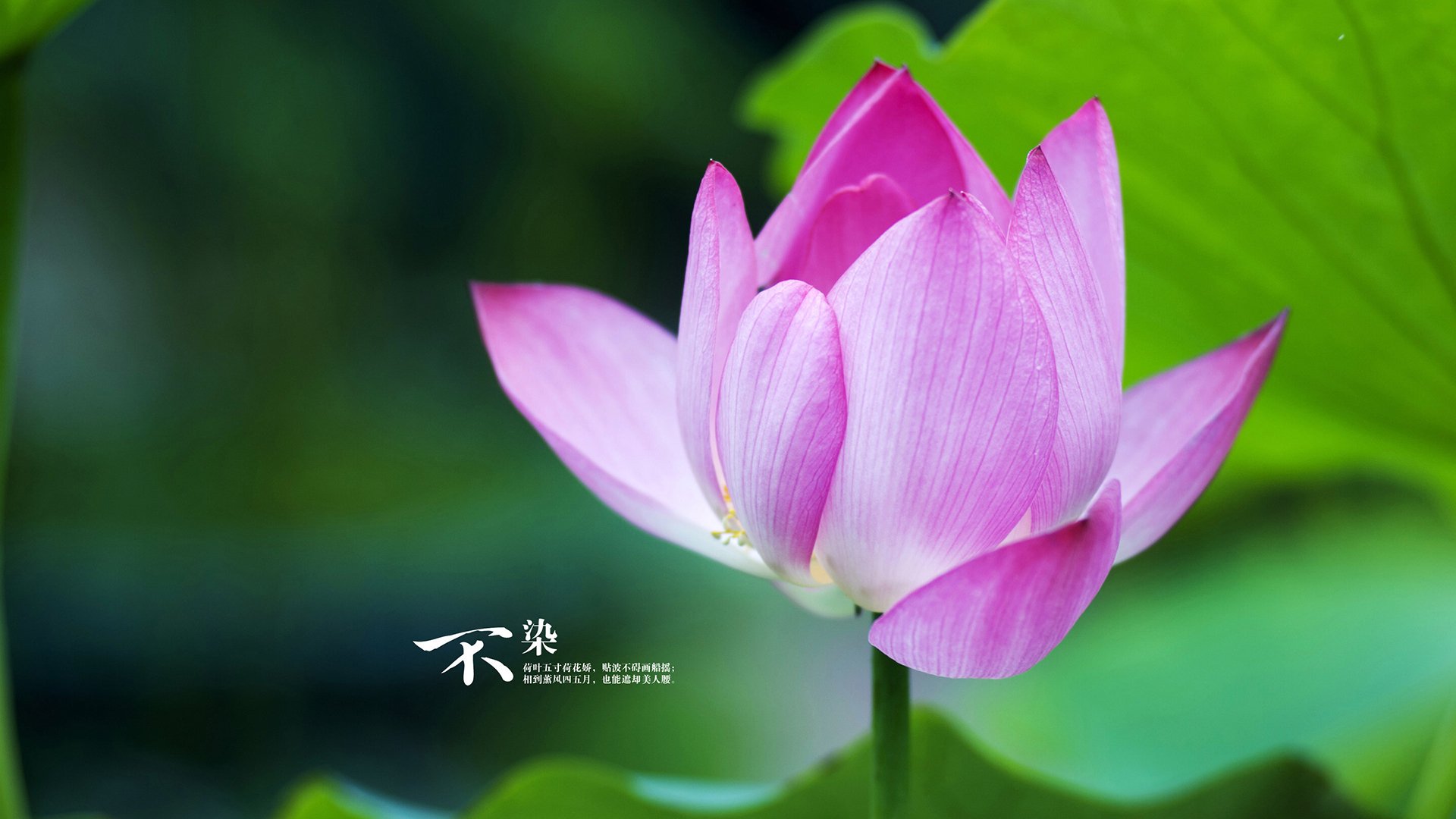 开云体育登录-虚拟跨界赛引热议,湖人对阵步行者概念战,拉梅洛数据刷屏