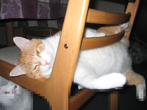 开云sport-当美国全明星遇上银河战舰，那场被遗忘的战役，与永不缺席的苏亚雷斯