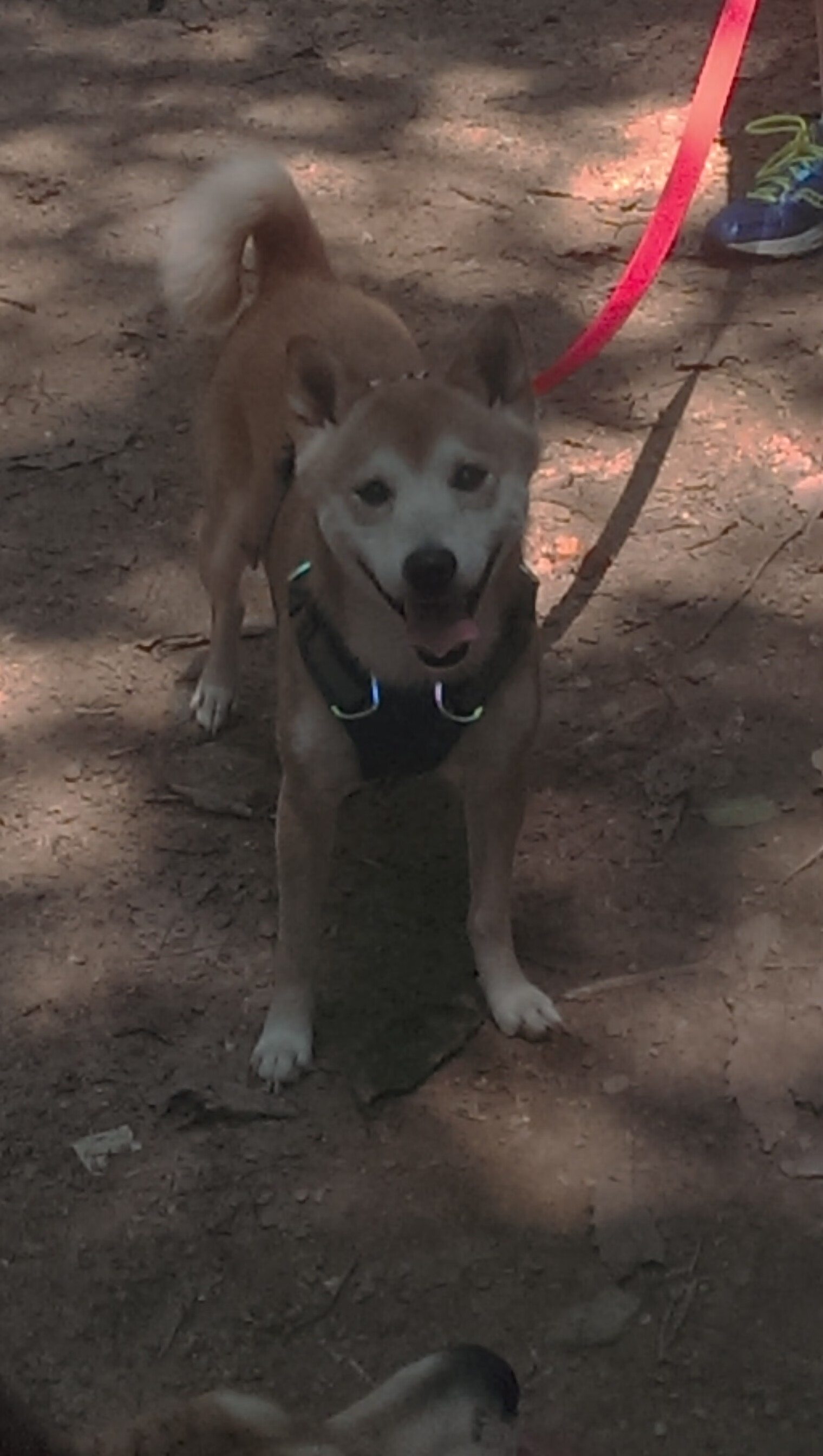 开云体育入口-跨界烽烟,詹姆斯爆发,雄鹿关键战突围新疆队