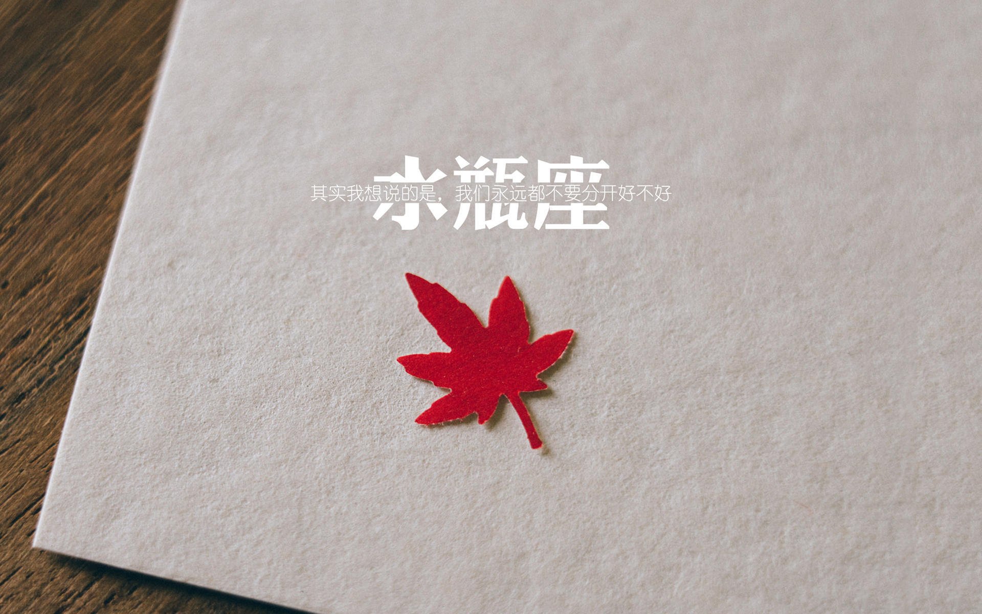 2026世界杯焦点战前夕，骑士与吉林队的跨界篮球盛宴