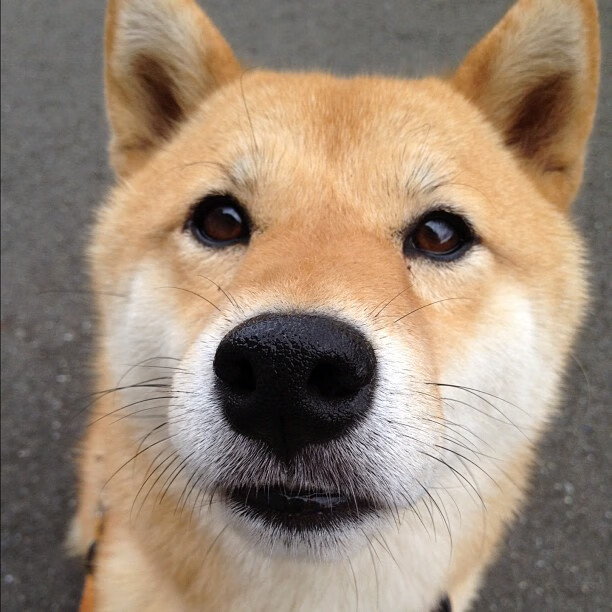 末节闪电战！利物浦第88分钟带走哥斯达黎加，布雷默绝杀不手软