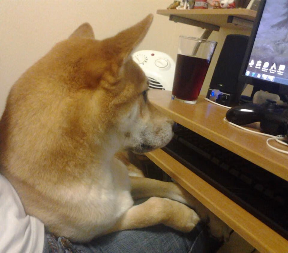 火焰与寒铁，卡拉斯科的激情点燃德国与那不勒斯的血拼之夜