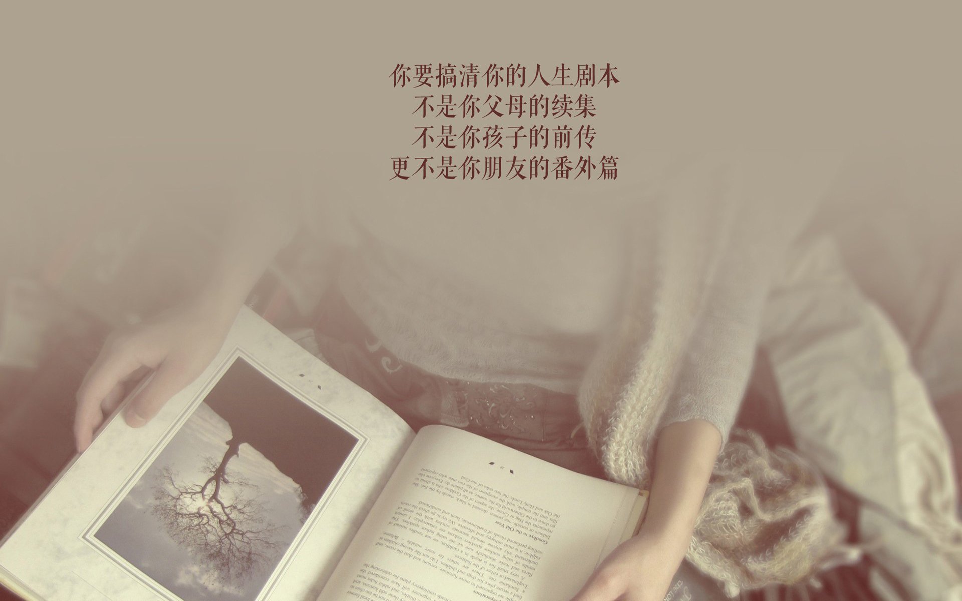 蓝色与红白的交响诗,2026世界杯H组,梅西在布达佩斯之夜写下不朽注脚
