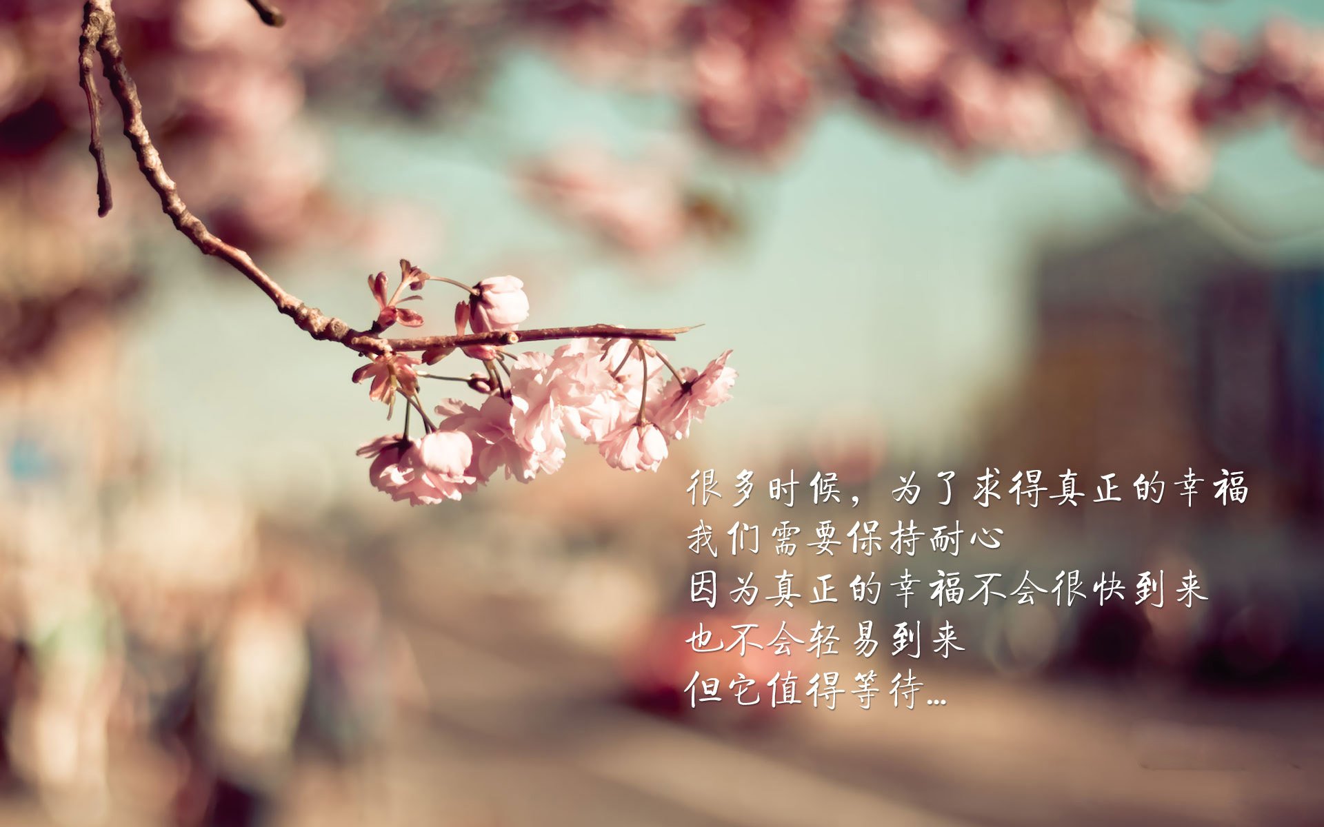冰与火之战的独白，齐耶赫在2026世界杯八分之一决赛铸就印度奇迹